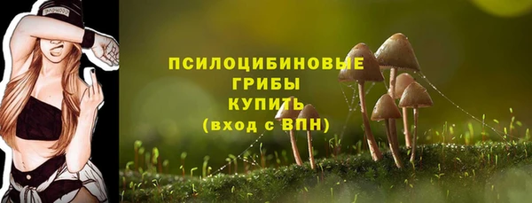 метадон Абдулино